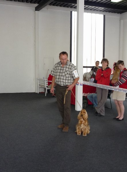 Litomerice 2009 036.jpg